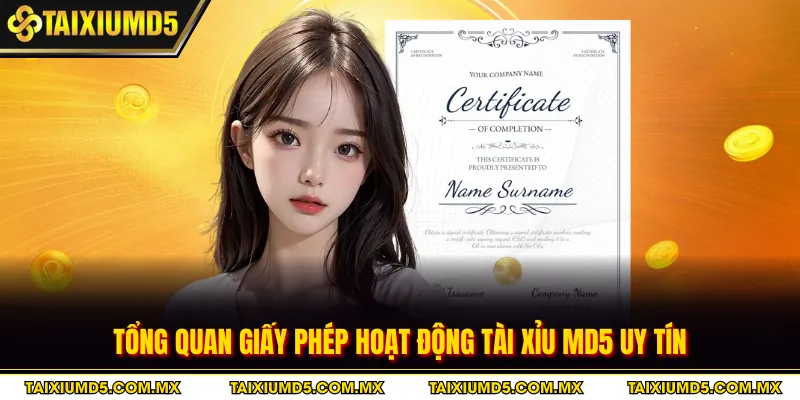 Tổng quan giấy phép hoạt động tài xỉu MD5 uy tín